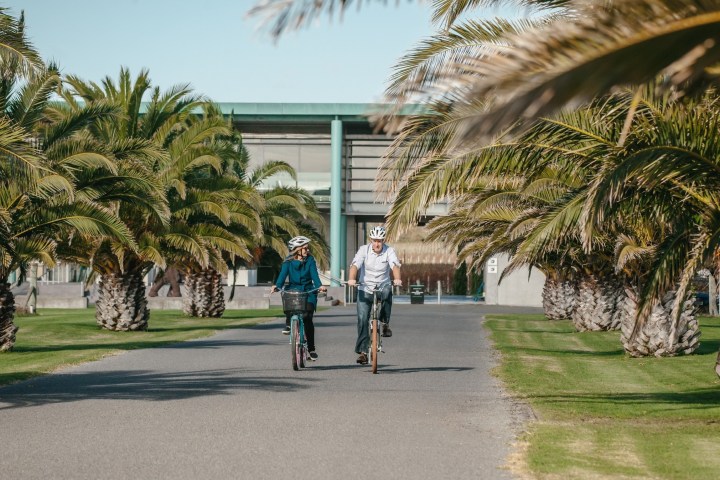 a man riding a skateboard down a street next to a palm tree