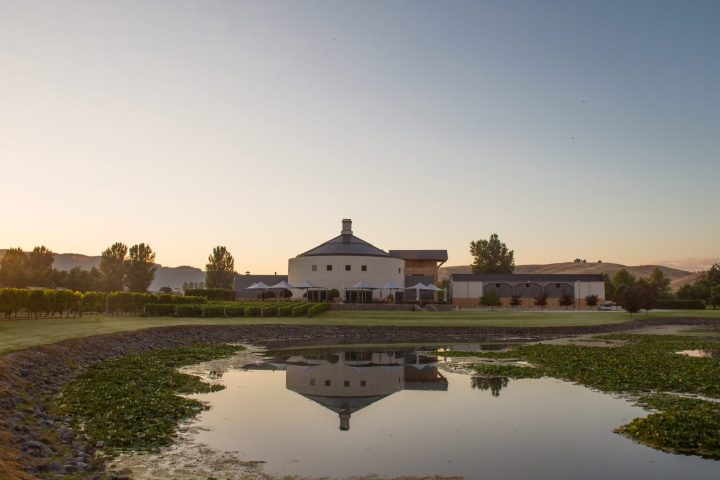 Overlooking the lake in front of Craggy Range Winery Hawke's Bay