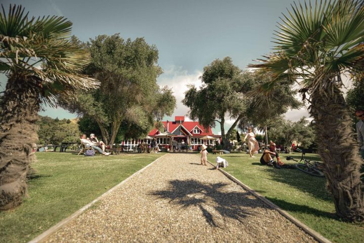 A group of people standing in front of a palm tree at Hygge cafe with bikes on the ground