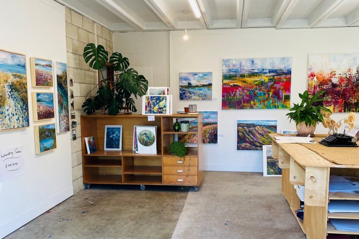 Art studio with paintings, plants, and wooden furniture displayed.