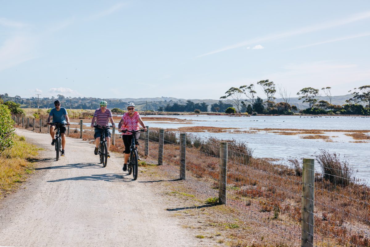 Riding through the Ahuriri Wetlands near Napier on bicycles from Napier City Bike Hire & Tours