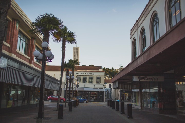 Pedestrian street with shops, palm trees, and distant tower.
